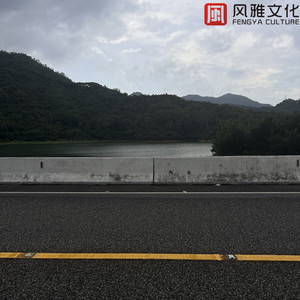 大爆奶美女网站
